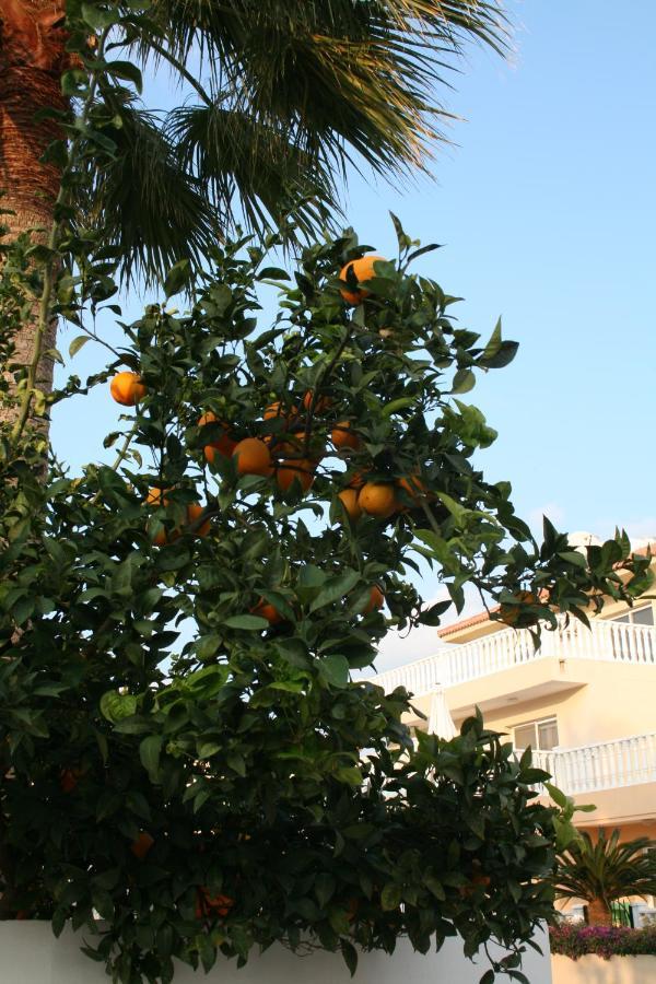 Nissi Villa Ayia Napa Bagian luar foto